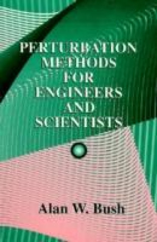 Kniha Perturbation Methods for Engineers and Scientists A.W. Bush