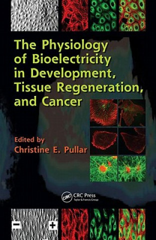 Βιβλίο Physiology of Bioelectricity in Development, Tissue Regeneration and Cancer Christine E. Pullar