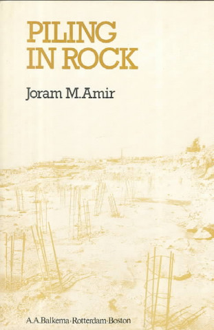 Книга Piling in Rock Joram Amir