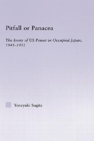 Kniha Pitfall or Panacea Yoneyuki Sugita