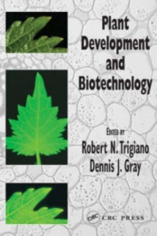 Książka Plant Development and Biotechnology Robert N. Trigiano