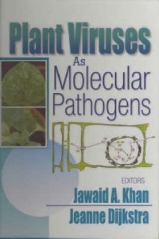 Kniha Plant Viruses As Molecular Pathogens Jeanne Dijkstra