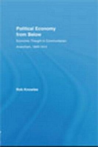 Kniha Political Economy from Below K. Knowles