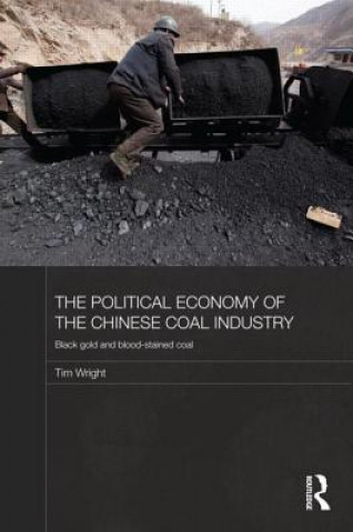 Kniha Political Economy of the Chinese Coal Industry Tim Wright