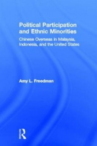 Buch Political Participation and Ethnic Minorities Amy L. Freedman