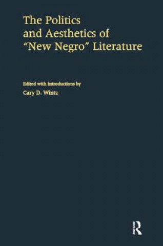 Książka Politics and Aesthetics of New Negro Literature 