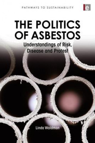 Книга Politics of Asbestos Linda Waldman