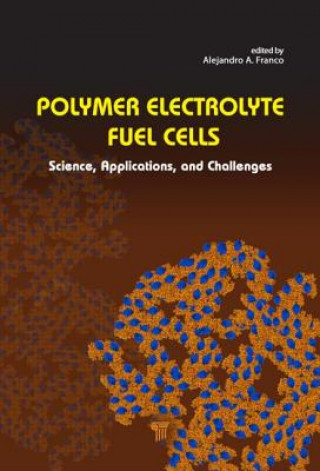 Könyv Polymer Electrolyte Fuel Cells 