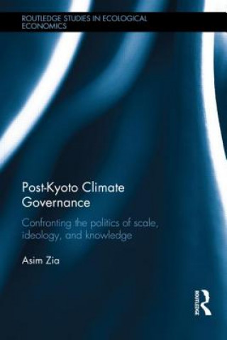 Buch Post-Kyoto Climate Governance Asim Zia