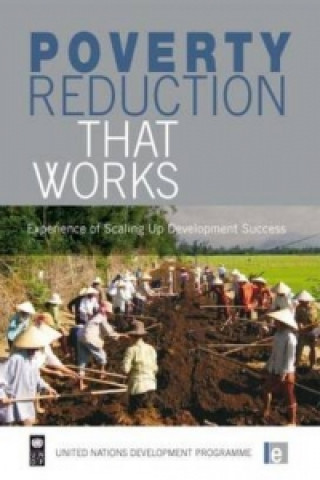 Boek Poverty Reduction that Works Maneka Weddikkara