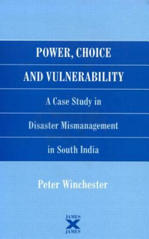 Könyv Power, Choice and Vulnerability Peter Winchester