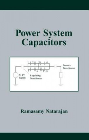 Kniha Power System Capacitors Natarajan Ramasamy