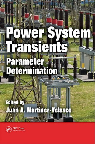 Kniha Power System Transients 