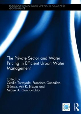 Kniha Private Sector and Water Pricing in Efficient Urban Water Management 