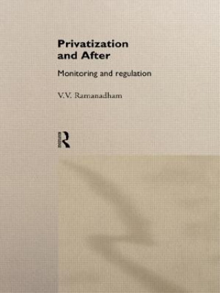 Kniha Privatization and After 