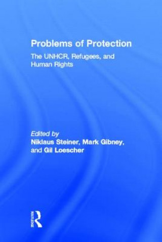 Kniha Problems of Protection Niklaus Steiner