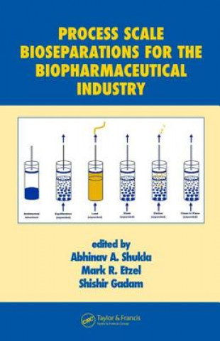 Kniha Process Scale Bioseparations for the Biopharmaceutical Industry 