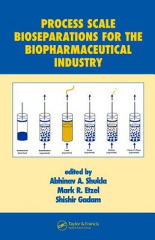 Libro Process Scale Bioseparations for the Biopharmaceutical Industry 