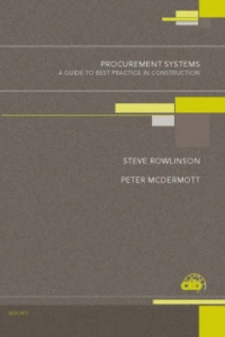 Könyv Procurement Systems Steve Rowlinson