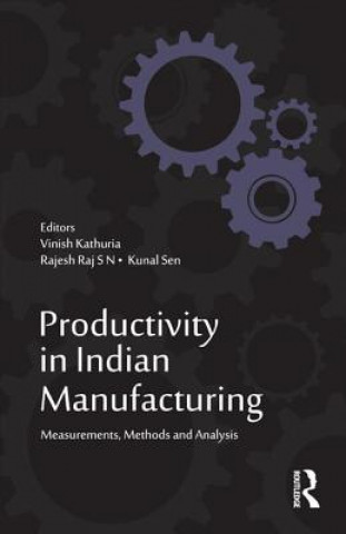 Könyv Productivity in Indian Manufacturing 