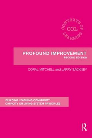 Boek Profound Improvement Larry Sackney