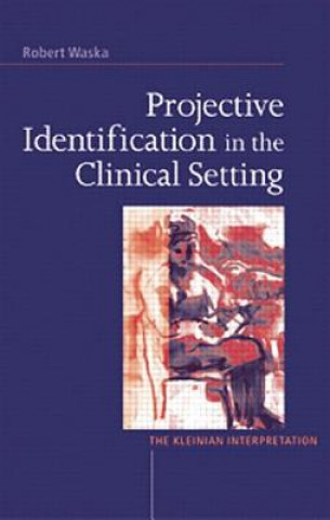 Könyv Projective Identification in the Clinical Setting Robert Waska
