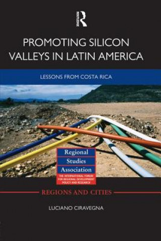 Kniha Promoting Silicon Valleys in Latin America Luciano Ciravegna