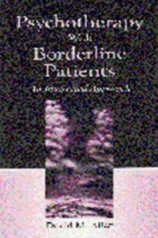 Kniha Psychotherapy With Borderline Patients David M. Allen