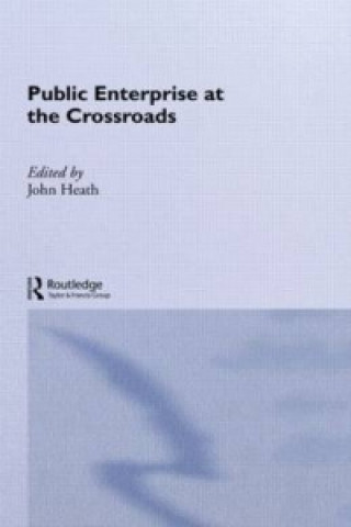 Книга Public Enterprise at the Crossroads 