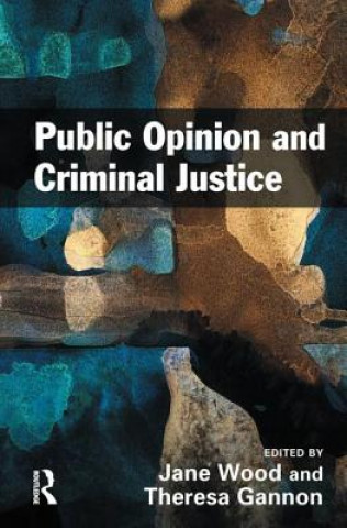 Kniha Public Opinion and Criminal Justice 