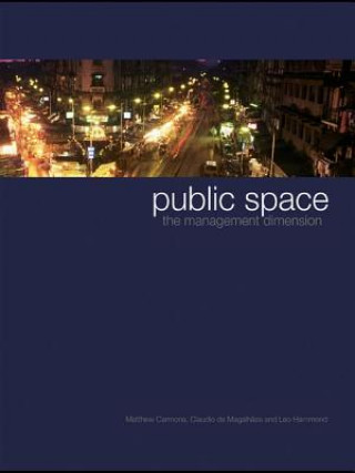 Könyv Public Space Matthew Carmona