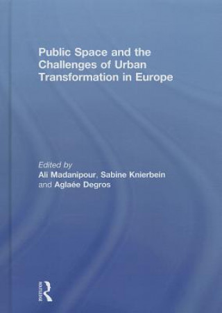 Livre Public Space and the Challenges of Urban Transformation in Europe 