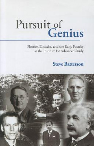 Kniha Pursuit of Genius Steve Batterson