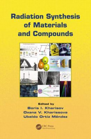 Książka Radiation Synthesis of Materials and Compounds 