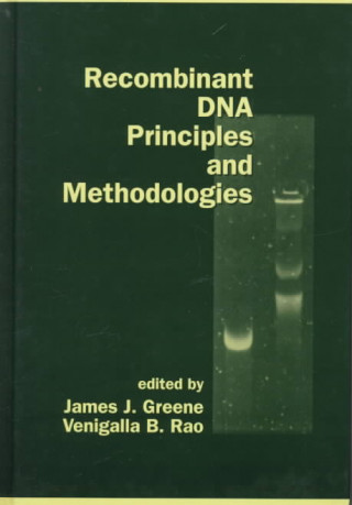 Kniha Recombinant DNA Principles and Methodologies 