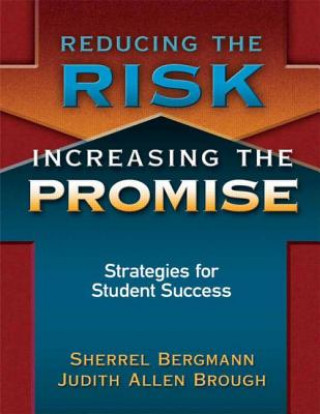 Buch Reducing the Risk, Increasing the Promise Judith Brough