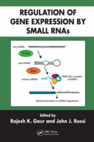Könyv Regulation of Gene Expression by Small RNAs 