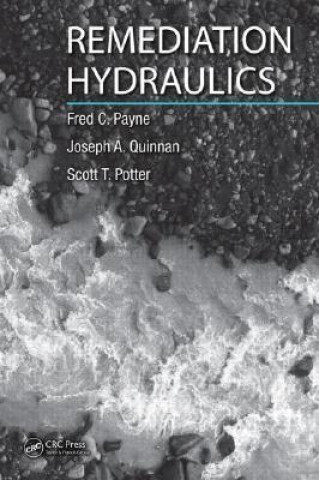 Carte Remediation Hydraulics Joseph A. Quinnan