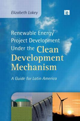 Kniha Renewable Energy Project Development Under the Clean Development Mechanism Elizabeth Lokey