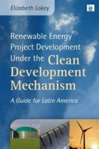 Kniha Renewable Energy Project Development Under the Clean Development Mechanism Elizabeth Lokey