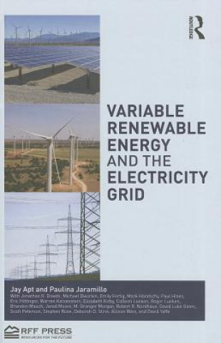 Könyv Variable Renewable Energy and the Electricity Grid Paulina Jaramillo