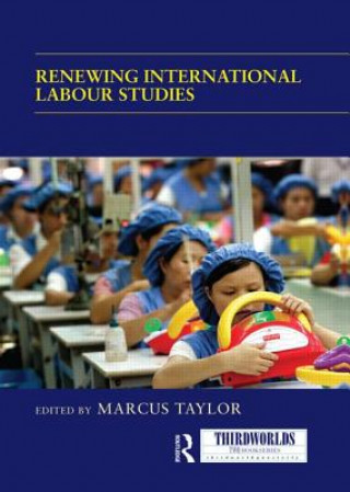 Kniha Renewing International Labour Studies 