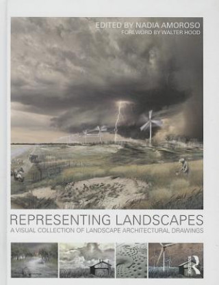 Carte Representing Landscapes Nadia Amoroso