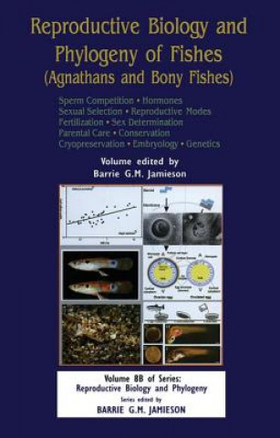 Książka Reproductive Biology and Phylogeny of Fishes, Vol 8B: Part B: Sperm Competion Hormones 