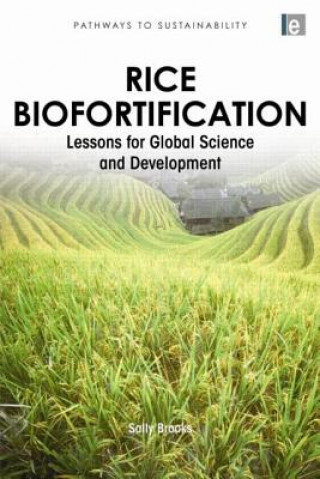 Carte Rice Biofortification Sally Brooks