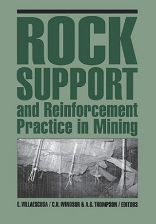 Kniha Rock Support and Reinforcement Practice in Mining 