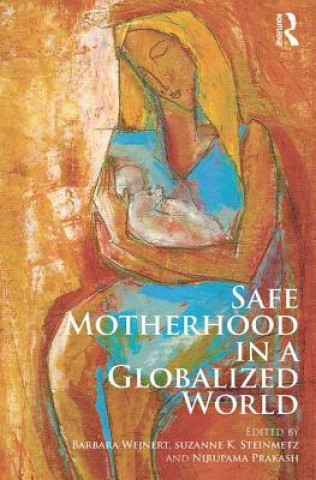 Βιβλίο Safe Motherhood in a Globalized World 