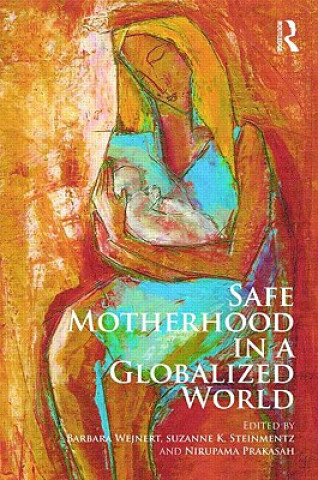 Книга Safe Motherhood in a Globalized World Barbara Wejnert
