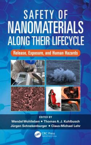 Kniha Safety of Nanomaterials along Their Lifecycle 