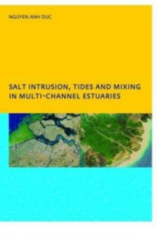 Kniha Salt Intrusion, Tides and Mixing in Multi-Channel Estuaries Anh Duc Nguyen